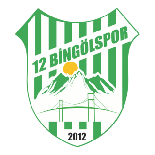 12 Bingölspor Logo PNG Vector