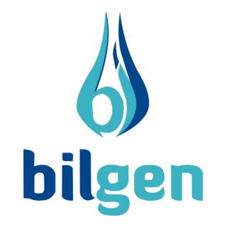 Bilgen Logo PNG Vector