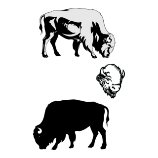 Bison Logo PNG Vector