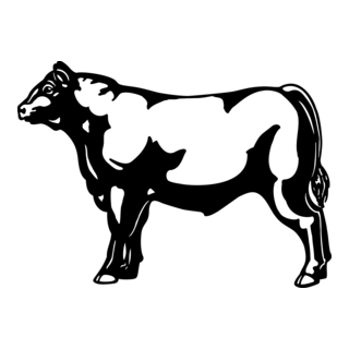 Bull Logo PNG Vector