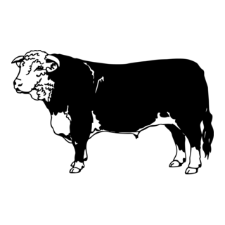 Bull Logo PNG Vector