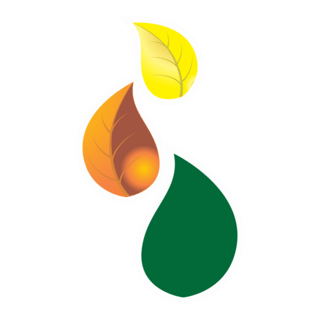 Business Leafs Logo PNG Vector