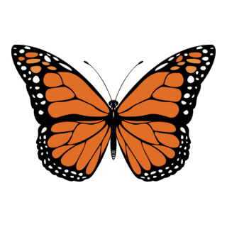Butterfly Logo PNG Vector