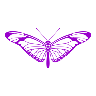 Butterfly Logo PNG Vector