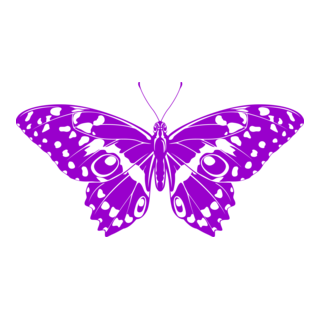 Butterfly Logo PNG Vector