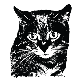 Cat Logo PNG Vector