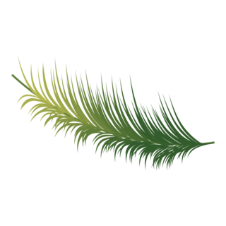 Coconout Leaf Logo PNG Vector