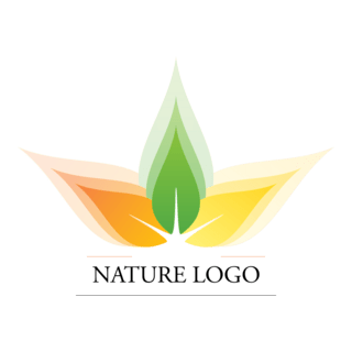 Colorful Nature Leaf Logo PNG Vector