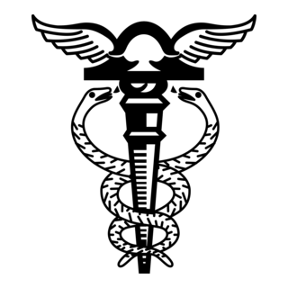 Contabilidade Simbolo Logo PNG Vector