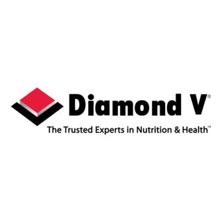 Diamond V Logo PNG Vector