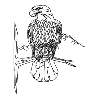 Eagle Logo PNG Vector