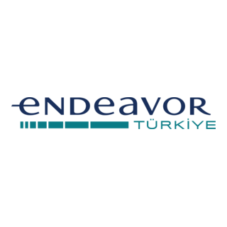 Endeavor Türkiye Logo PNG Vector