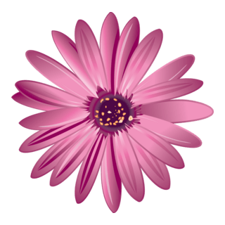 Flower Logo PNG Vector