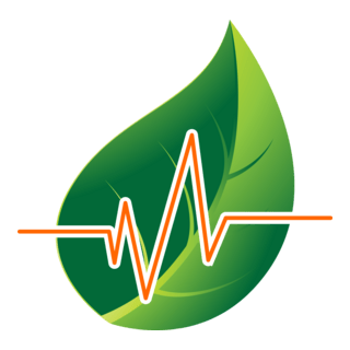 Hospital Leaf Logo PNG Vector