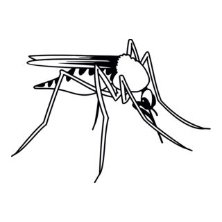 Insect Logo PNG Vector