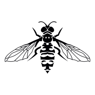 Insect Logo PNG Vector