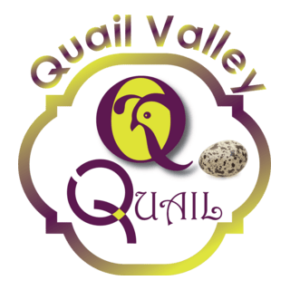 Quail Valley Logo PNG Vector