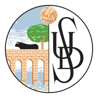 Salamanca Logo PNG Vector