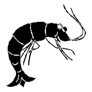 Shrimp Logo PNG Vector