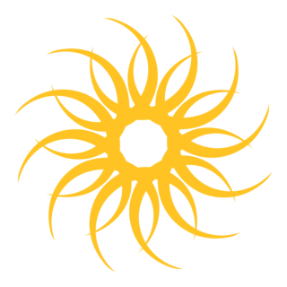 SYMMETRICAL STAR Logo PNG Vector