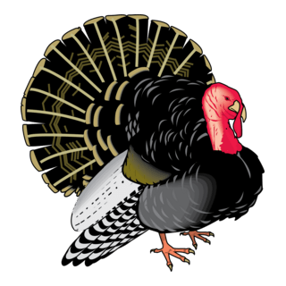 Turkey Logo PNG Vector
