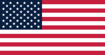 USA Flag Logo PNG Vector