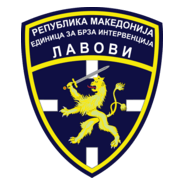 15 years police unit Lavovi Logo PNG Vector