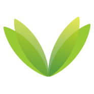 Alphabet V Type Logo PNG Vector