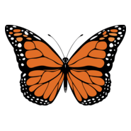 Butterfly Logo PNG Vector