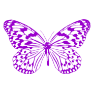 Butterfly Logo PNG Vector