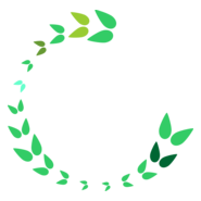 C Leaf Letter Logo PNG Vector