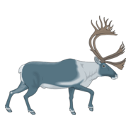 Caribou Logo PNG Vector