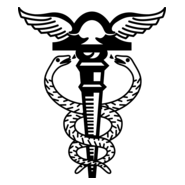 Contabilidade Simbolo Logo PNG Vector