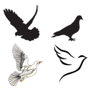 Dove Logo PNG Vector