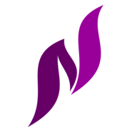N S Letter Logo PNG Vector