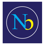 NB Logo PNG Vector