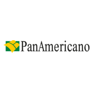 PanAmericano Logo PNG Vector
