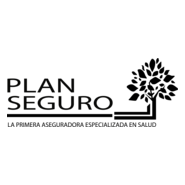 Plan seguro Logo PNG Vector