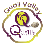 Quail Valley Logo PNG Vector