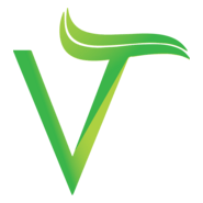 V letter Logo PNG Vector