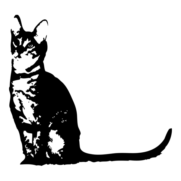 CAT Logo PNG Vector