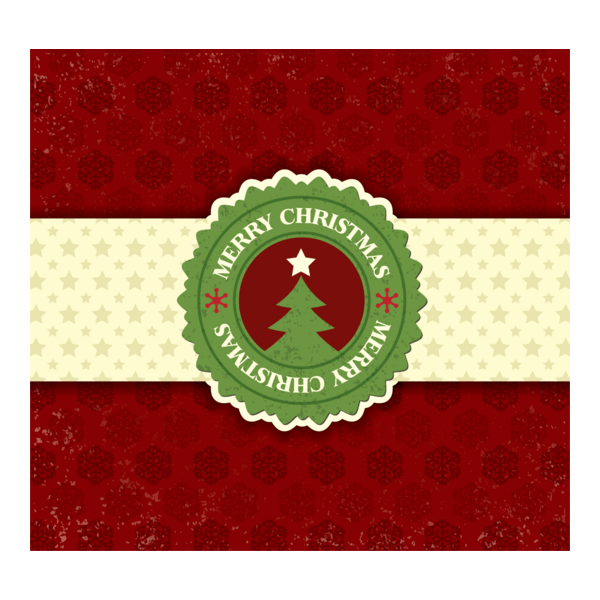 christmas snowflake Logo PNG Vector