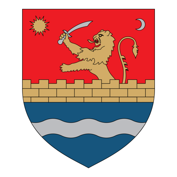 Consiliul Judetean Timis Logo PNG Vector