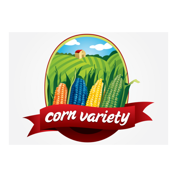 CORN VARIETY Logo PNG Vector