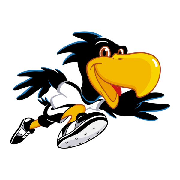 Deutscher FuBball-Bund – Paule (10) Logo PNG Vector