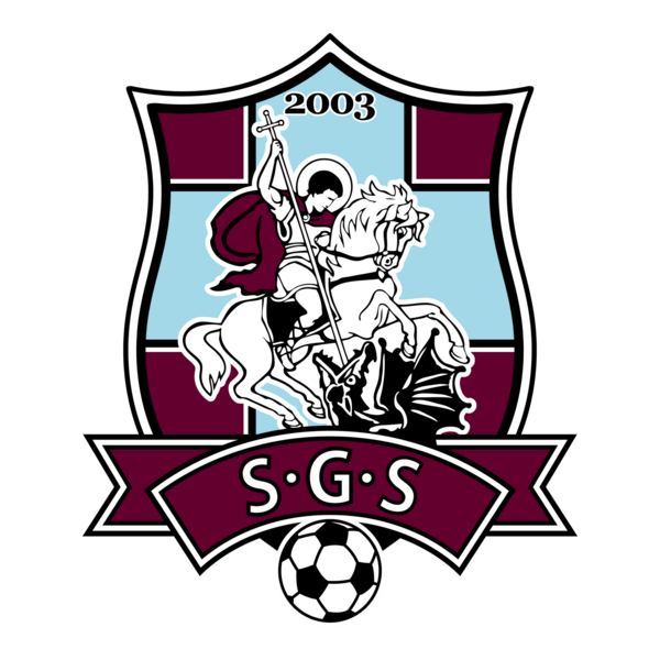 FC Sfintul Gheorghe Logo PNG Vector