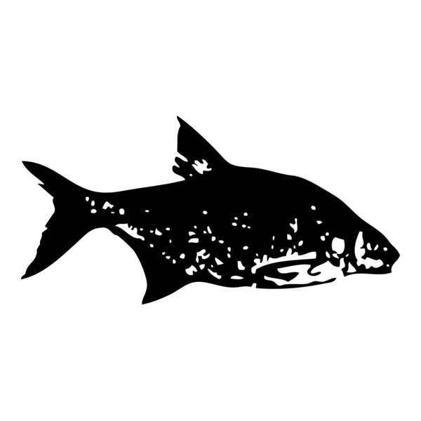 FISH Logo PNG Vector