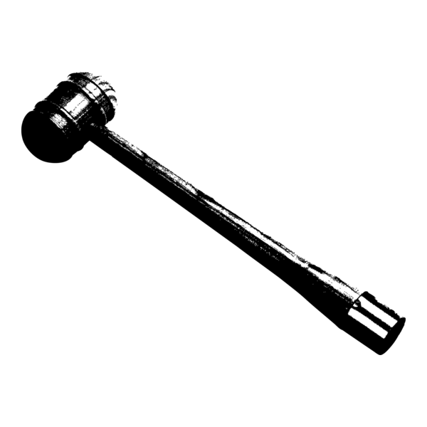 HAMMER Logo PNG Vector