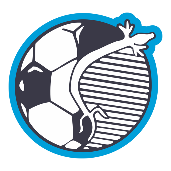 NK Postojna Logo PNG Vector