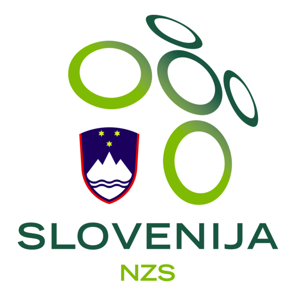 Nogometna zveza Slovenije (1920) Logo PNG Vector